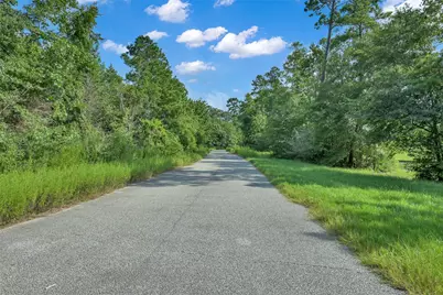 8316 Bristlecone Pine Way, Magnolia, TX 77354 - Photo 38
