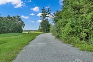 8316 Bristlecone Pne Wy, Magnolia, TX 77354 - Photo 36