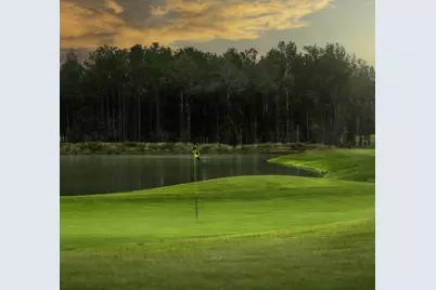 22242 Junction Peak Drive, Porter, TX 77365 - Photo 40