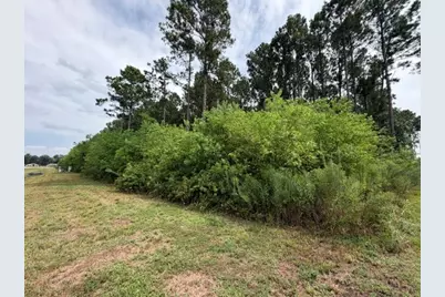 161 County Road 6614, Dayton, TX 77535 - Photo 4