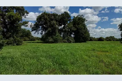 3619 Tankersley Circle, Rosharon, TX 77515 - Photo 8