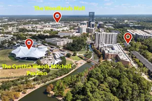 14 Riva Row, The Woodlands, TX 77380 - Photo 42