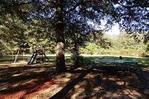 1 Brandon Rd, Huntsville, TX 77320 - Photo 20