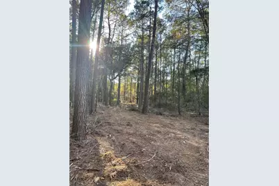 13034 Hackberrry Drive, Plantersville, TX 77363 - Photo 1