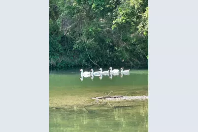 10485 Fm 466, Seguin, TX 78155 - Photo 14