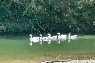 10485 FM 466, Seguin, TX 78155 - Photo 14