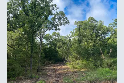 4554 County Rd 426, Marquez, TX 77865 - Photo 6