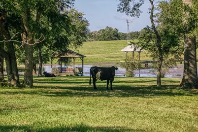4083 Glaeser Road, Bellville, TX 77418 - Photo 16