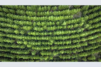 Tbd Stutts Hill Rd, Livingston, TX 77351 - Photo 16