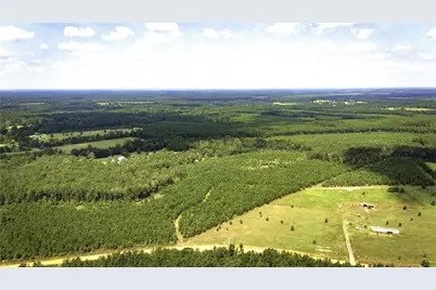 Tbd Stutts Hill Rd, Livingston, TX 77351 - Photo 14