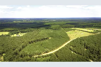 Tbd Stutts Hill Rd, Livingston, TX 77351 - Photo 1