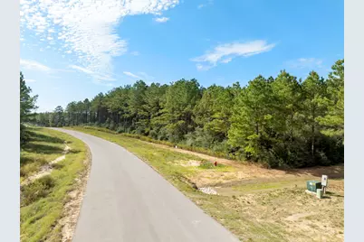 16002 Forest Mill Road, Willis, TX 77378 - Photo 4