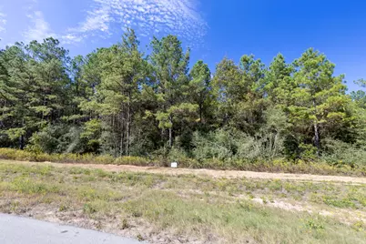 16002 Forest Mill Road, Willis, TX 77378 - Photo 1