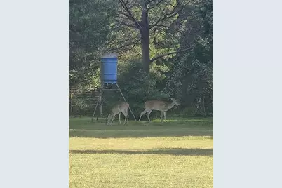 18354 Deerview Lane, New Ulm, TX 78950 - Photo 48