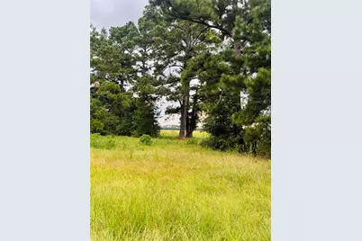 Tbd Fm 770 N, Hull, TX 77564 - Photo 6
