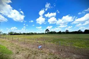 00000 County Road 203, Liverpool, TX 77577 - Photo 8