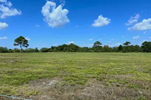 00000 County Road 203, Liverpool, TX 77577 - Photo 4