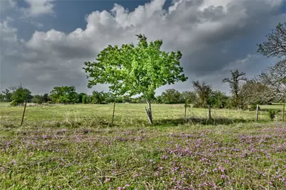 87.80 Acres Fm 141, Giddings, TX 78942 - Photo 30