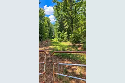 525 County Road 3016, Dayton, TX 77535 - Photo 4