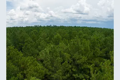 T-1 Benny Griffin Road, Livingston, TX 77351 - Photo 30