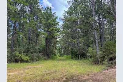T-1 Benny Griffin Road, Livingston, TX 77351 - Photo 12