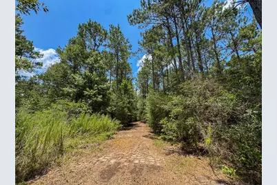 T-1 Benny Griffin Road, Livingston, TX 77351 - Photo 6