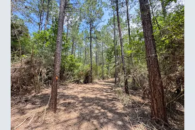 T-1 Benny Griffin Road, Livingston, TX 77351 - Photo 10