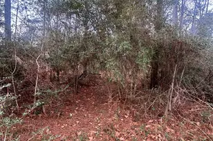 54 Erin Dr, Huntsville, TX 77320 - Photo 14