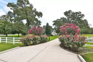 34310 High Point Dr, Magnolia, TX 77355 - Photo 2