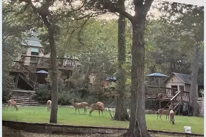 495 Tahitian Drive, Bastrop, TX 78602 - Photo 16