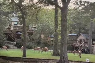 495 Tahitian Dr, Bastrop, TX 78602 - Photo 16