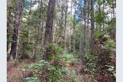 870 Cr 4259, Woodville, TX 75979 - Photo 6