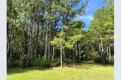 870 Cr 4259, Woodville, TX 75979 - Photo 42