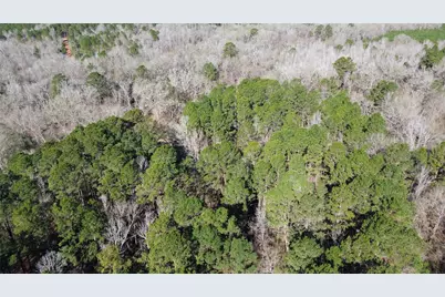 16590 E State Highway 21, Grapeland, TX 75844 - Photo 34