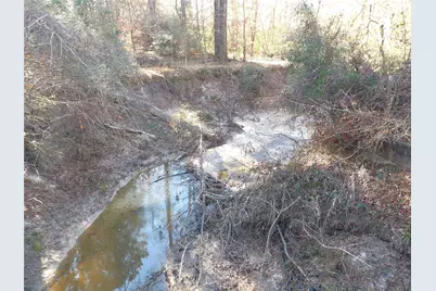 16590 E State Highway 21, Grapeland, TX 75844 - Photo 8