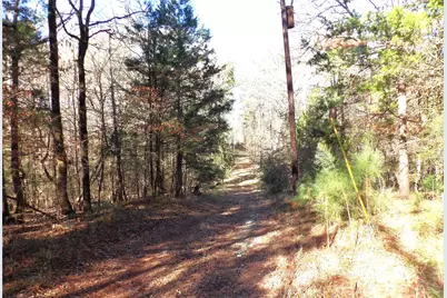 16590 E State Highway 21, Grapeland, TX 75844 - Photo 14