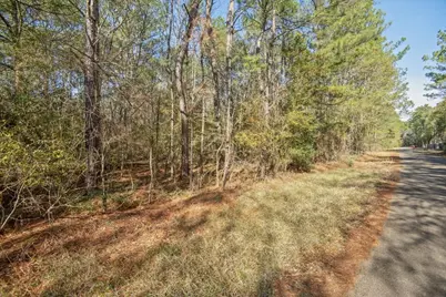 13681 Cr 201 Loop Lane, Plantersville, TX 77363 - Photo 10
