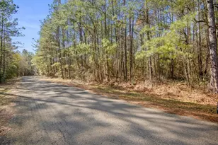 13681 Cr 201 Loop Ln, Plantersville, TX 77363 - Photo 1