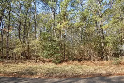 13681 Cr 201 Loop Lane, Plantersville, TX 77363 - Photo 6