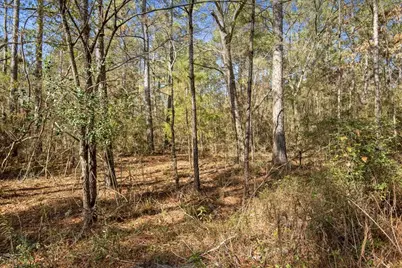 13681 Cr 201 Loop Lane, Plantersville, TX 77363 - Photo 12