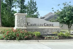 10023 Angelina Woods Ln, Conroe, TX 77384 - Photo 34