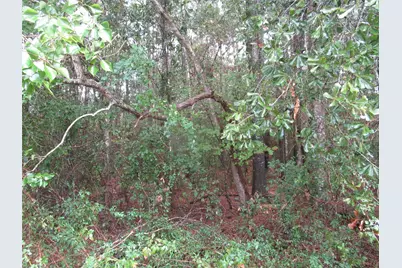 Lot 9 Stephens Forest, New Caney, TX 77357 - Photo 10