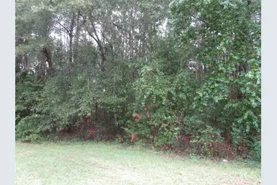 Lot 9 Stephens Forest, New Caney, TX 77357 - Photo 4