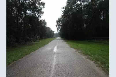 Lot 9 Stephens Forest, New Caney, TX 77357 - Photo 8