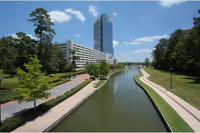 44 Indian Clover Drive, The Woodlands, TX 77381 - Photo 46