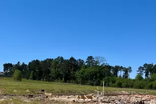 40745 Mostyn Lake Dr, Magnolia, TX 77354 - Photo 2