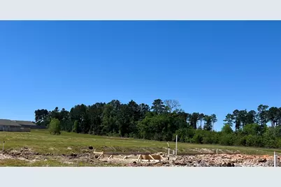 40745 Mostyn Lake Drive, Magnolia, TX 77354 - Photo 4