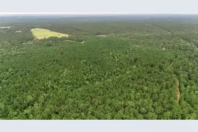 Tbd John Hensley Road, Livingston, TX 77351 - Photo 22