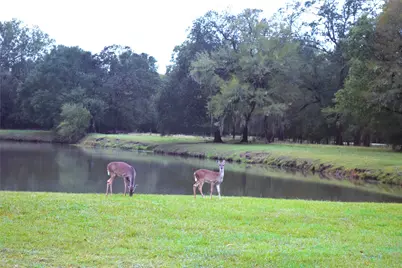 315 Center Drive, Cleveland, TX 77327 - Photo 4