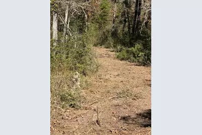 Tbd Fm 1280 East, Lovelady, TX 75851 - Photo 22